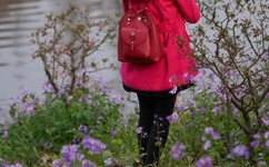 日本漫画口番工全彩